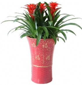 開業(yè)鴻運當(dāng)頭